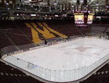 NCAA hockey game